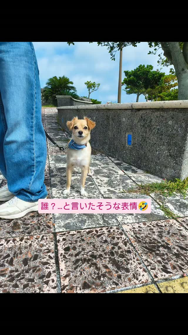 こんにちは♪