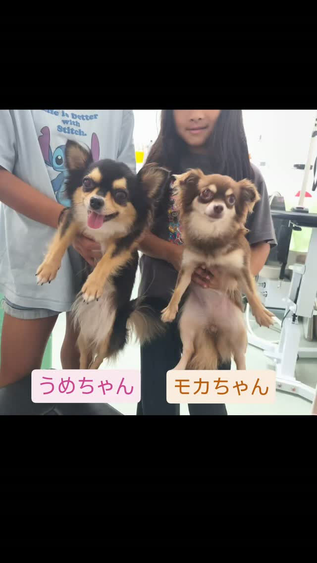 うめちゃん🌺モカちゃん初めまして☺️