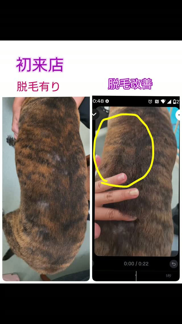 皮膚ケアコース🫧