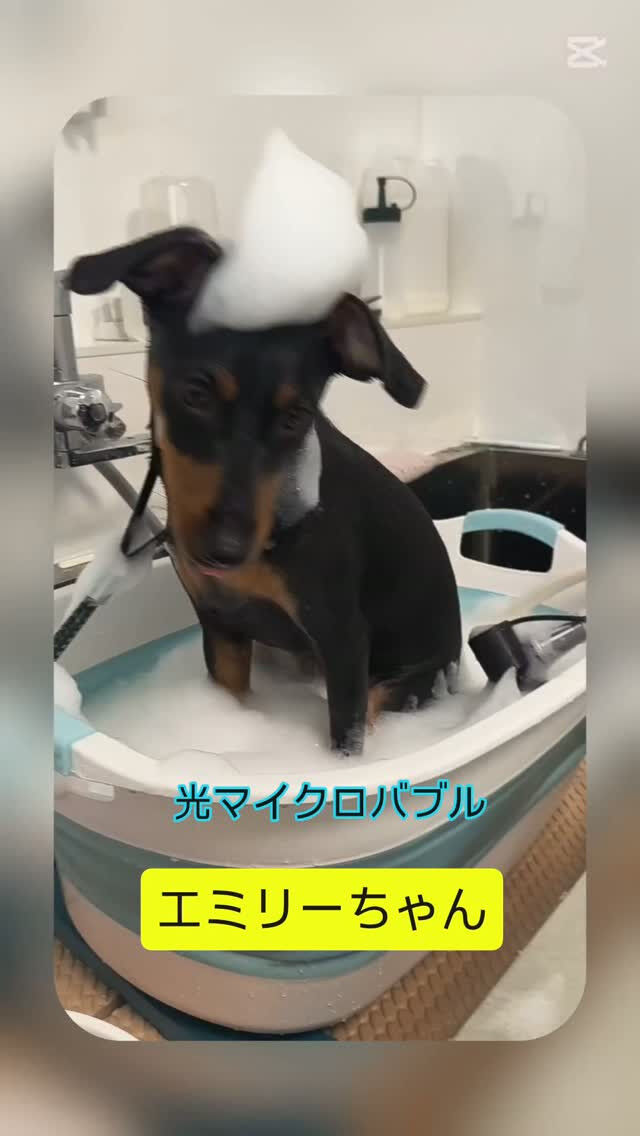 エミリーちゃん