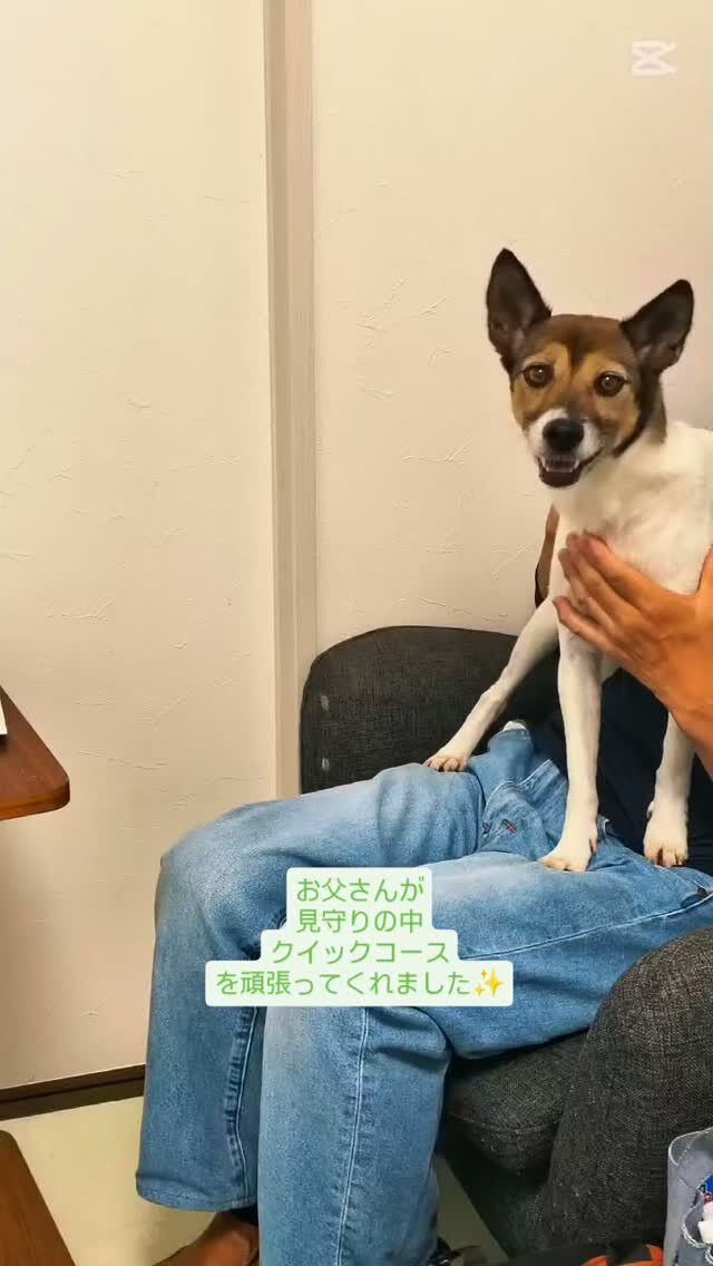 まるちゃんのショート動画です😊