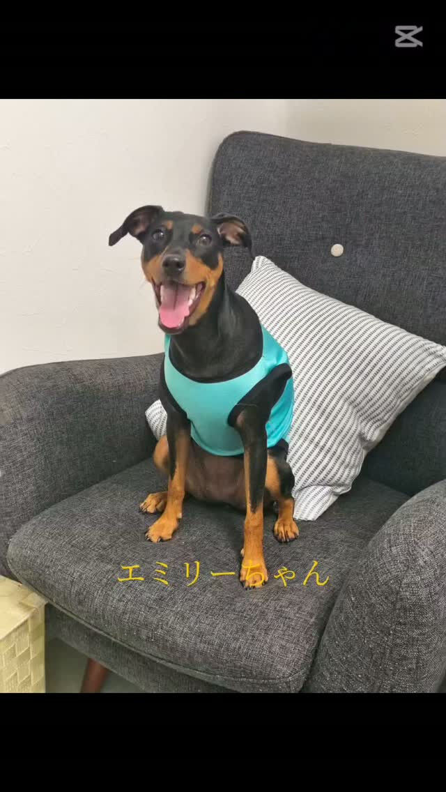 エミリーちゃん💞